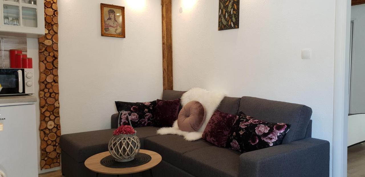 Apartment Marko 塞尼 外观 照片